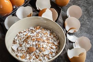 Hnojivo pro zeleninu za hubičku? Ocet a vaječné skořápky