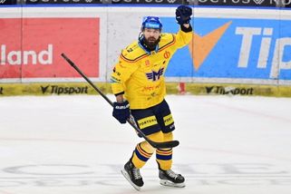 Kapitán Gulaš ukončil po vyřazení hokejistů Českých Budějovic kariéru