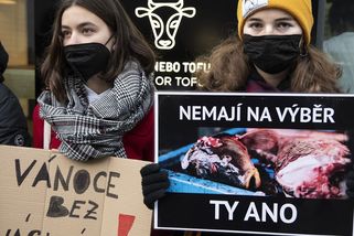 Obrazem: Demonstranti v Praze protestovali proti zabíjení kaprů - Seznam Zprávy