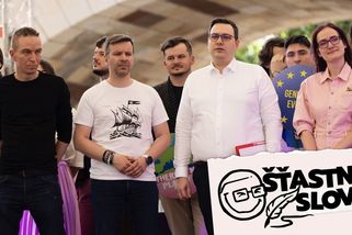 „Pusťte nás na ně!“ Piráti spolehlivě likvidují sami sebe - Seznam Zprávy