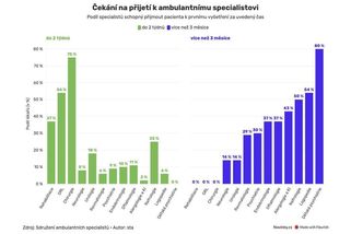 Pořadník na měsíce. Termín u specialisty nedostane čtvrtina lidí dřív než za čtvrt roku - Novinky