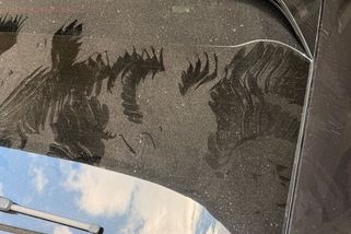 Jako scéna z Hitchcockova filmu. Neznámý dravec v Krkonoších zaútočil na automobil - Novinky