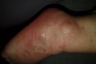 Případ surově týraných chlapců: Policie prověřuje pracovníky OSPOD - Seznam Zprávy