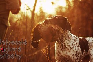 Jak skončil spor chovatelů o pár centimetrů ocásku? - Proženy.cz