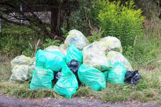 Dobrovolníci v Česku budou dnes uklízet přírodu, města a obce - Seznam Zprávy