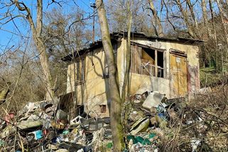 Pitbulové v klecích. Úřady si s psí farmou v chatové kolonii nevědí rady - Seznam Zprávy