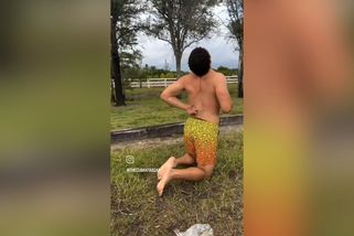 Jaké je to být zbičován leguáním ocasem za vás vyzkoušel kubánský Tarzan | Darwinovy ceny