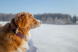 Počasí v prosinci: Meteorologové nevěří a přepočítávají data. Toto nás opravdu čeká? - Techsvět
