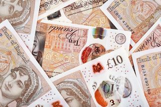 Už ne Churchill, ani Austenová. Historické osobnosti na britských bankovkách nahradí zvířata - Novinky