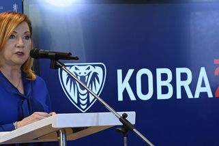 Vláda zřídí „Kobru 26“ proti zaměstnávání načerno. Schillerová čeká výnos desítek miliard