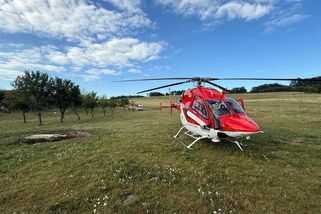 Muž na Slovensku chtěl vysvobodit daňka zamotaného do oplocení. Zvíře ho smrtelně zranilo - Novinky