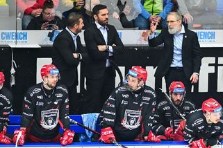 Frühauf končí na střídačce hokejistů Hradce Králové - Sport.cz