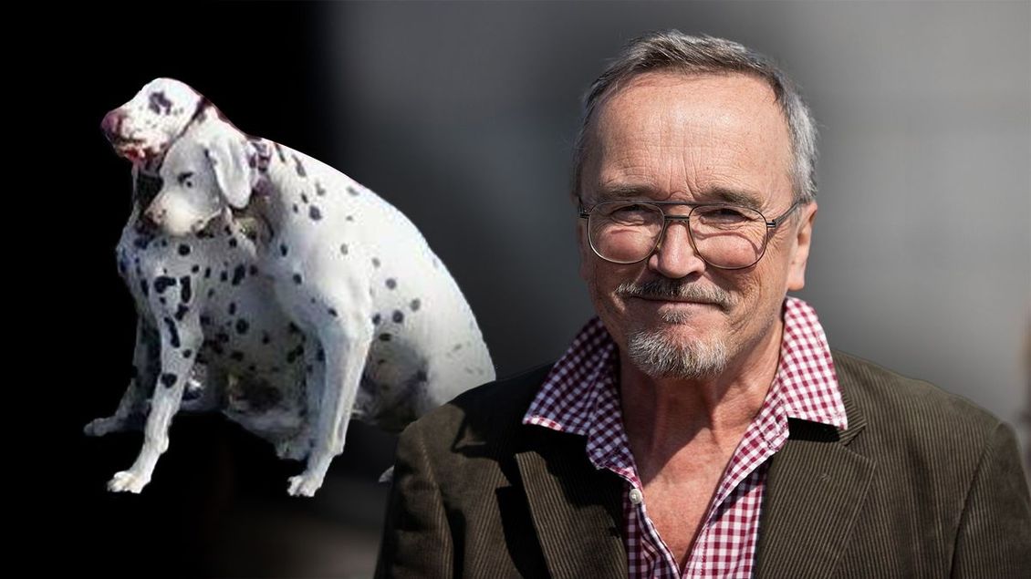 Poslanec nechal psy v autě. Policie řeší jejich smrt jako zanedbání péče - Seznam Zprávy