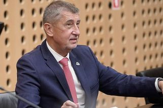 Babiš: Zeman mi v neděli řekl, že mě pověří sestavením vlády. Vypadal normálně - Seznam Zprávy