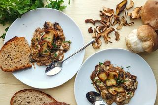 Smaženice ze sušených hub podle M. J. Sandtnerové: Netradiční recept s intenzivní houbovou chutí