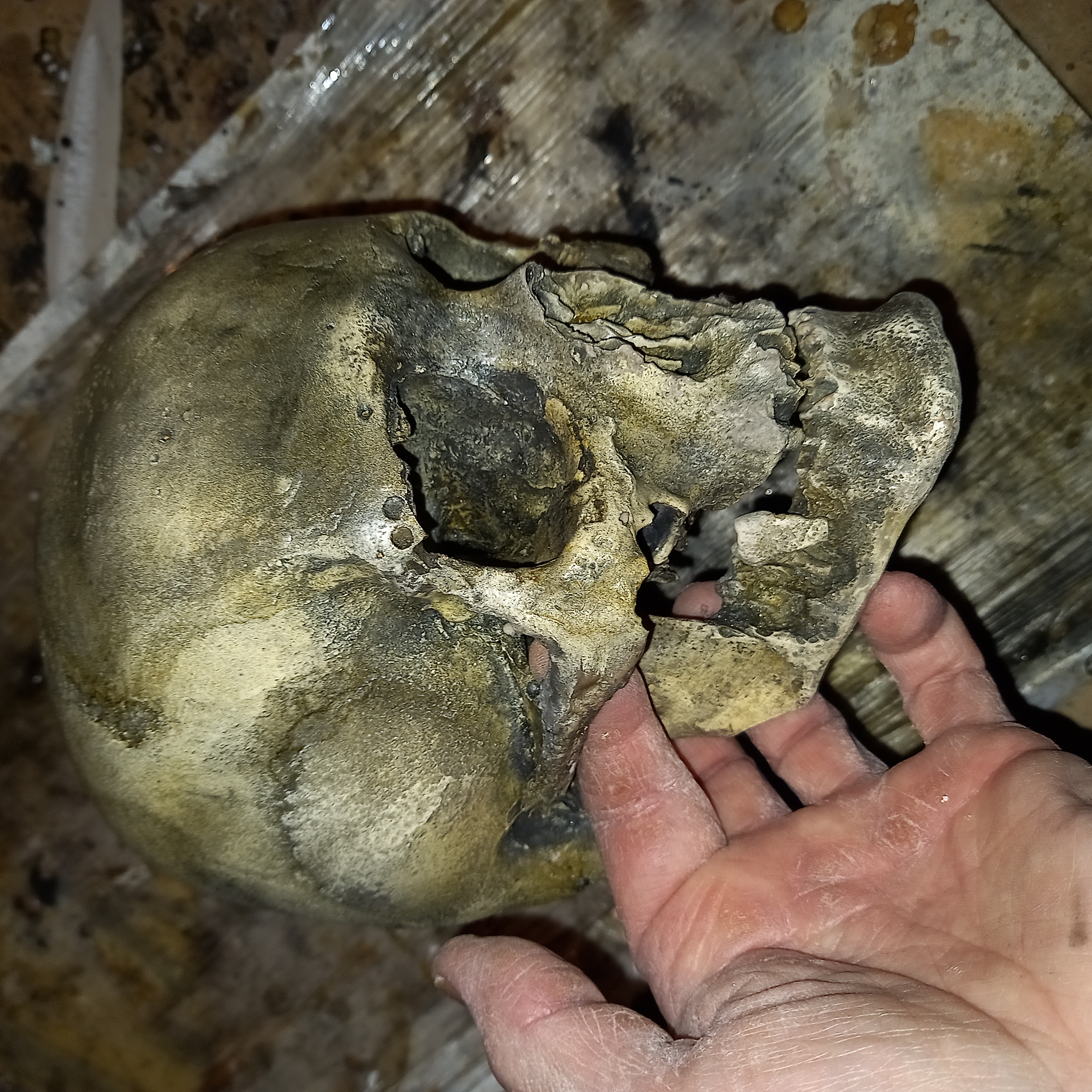 Obrázek u příspěvku číslo 1