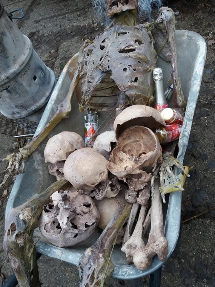 Obrázek u příspěvku číslo 1