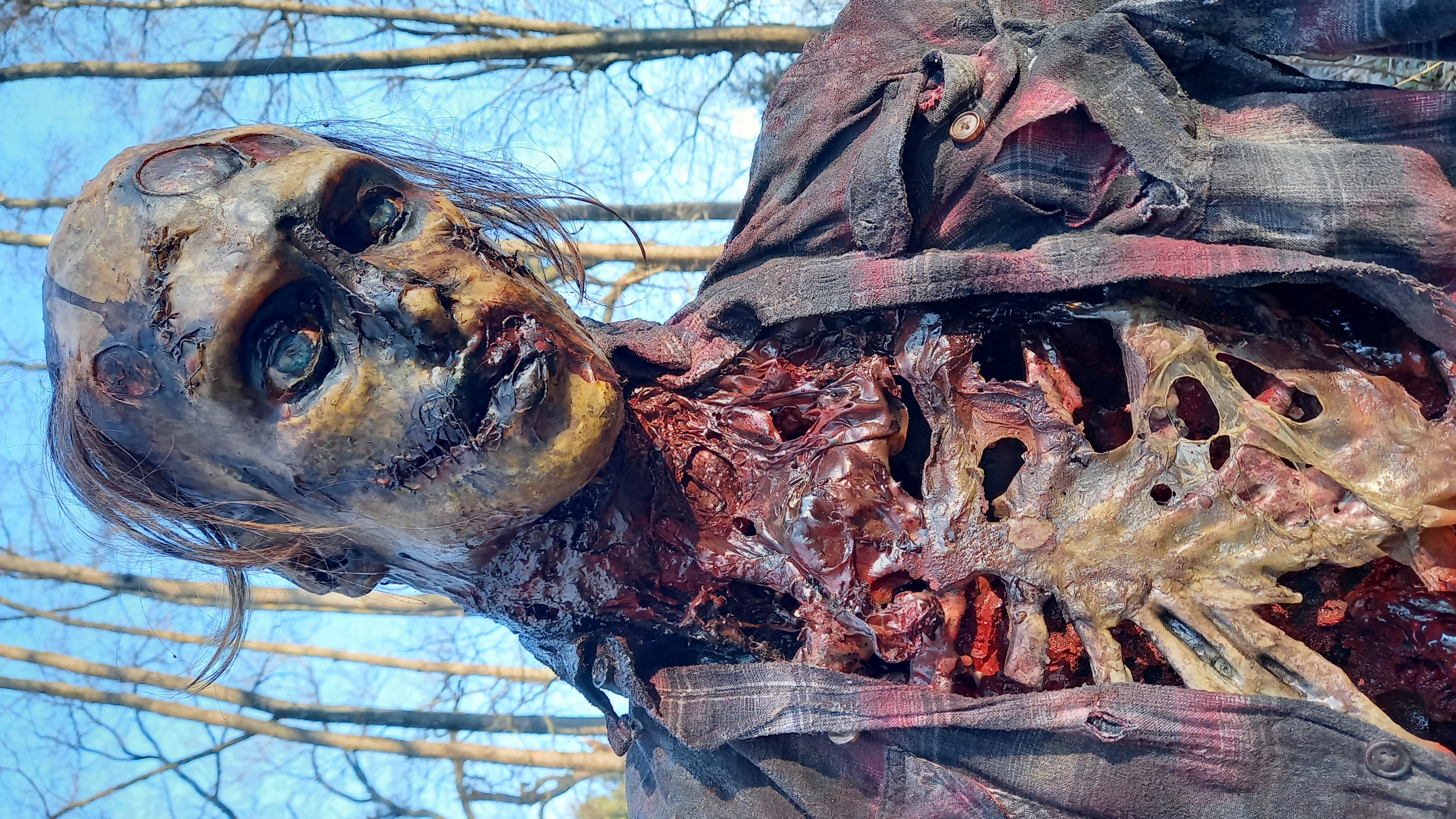 Obrázek u příspěvku číslo 1