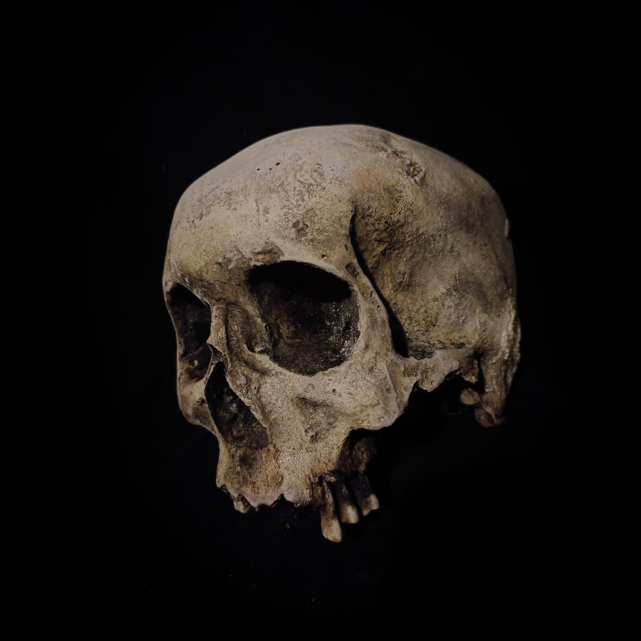 Obrázek u příspěvku číslo 1