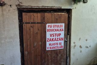 Údajné týrání a utrácení psů v útulku na Kladensku řeší veterináři i policie - Novinky