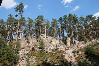 Petice proti zrušení rezervace Maštale na Chrudimsku získala 3619 podpisů - Ekolist.cz