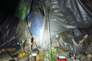 Šok v Praze: Strážníci objevili v lesíku stan, žily v něm dvě děti. Toto následovalo