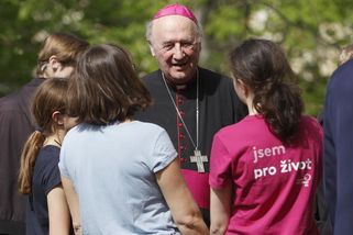 Církev strká hlavu do písku před oběťmi sexuálního násilí - Novinky