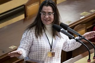 Poslanci pobírají pohádkové příplatky téměř bez práce - Novinky