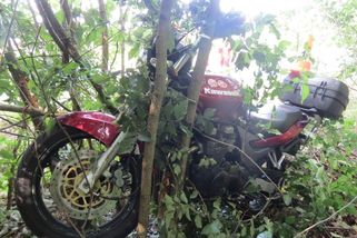 Mladé motorkářce vběhl do cesty srnec. V nemocnici zemřela - Novinky