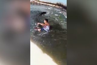 Turista se chtěl vyfotit s plastovým krokodýlem, umělý ale nebyl ani trochu | Darwinovy ceny