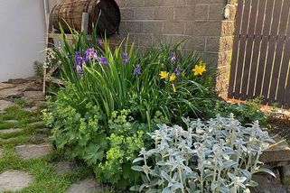 Vyzráli na stavební zákon dešťovým záhonem. Češi o této možnosti většinou nevědí