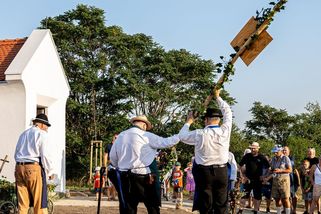 Po zaražení hory už do vinohradu nesmí vstoupit nikdo nepovolaný - Novinky