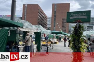 prahain.cz/jidlo/farmar-v-praze-prodava-nejdrazsi-pecen-chleba-20164.html