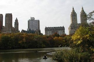 Pod psem se propadl led. Muž neváhal a skočil za ním. Záběry udivují svět