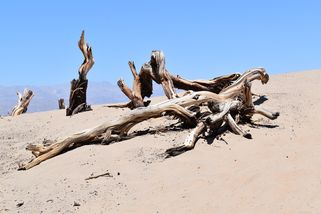 stoplusjednicka.cz/sucho-kvuli-postupujicimu-globalnimu-oteplovani-muze-zhorsovat-rezistence-vuci-antibiotikum