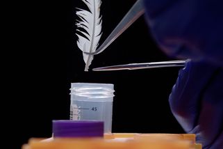 Maso z laboratoře může do prodeje. První dvě firmy v USA dostaly povolení - Seznam Zprávy