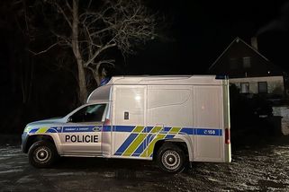 To si nemohl udělat sám. Policie po brutální smrti muže na Mělnicku zadržela ženu - Novinky
