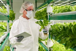 Lékař zakazuje zeleninu: Špatné zdraví svalil na lektiny