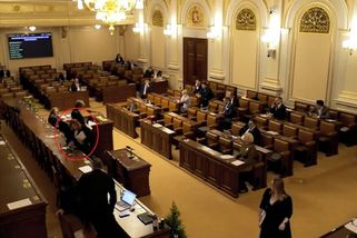 Schillerová ve Sněmovně rozlila čaj na hlasovací zařízení - Novinky