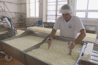 Stop migraci českého mléka, plánuje ministr za SPD. Chce zvrátit masivní vývoz do Německa