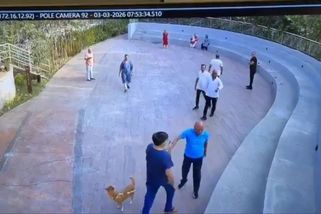 Lidé zmlátili majitele psa, který se vymočil v jejich blízkosti, když si dělali rozcvičku. Bitku zachytila kamera - Novinky