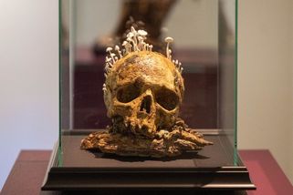 Lebky z porcelánu, bezprostřední malby. Pilař a Eisnerová vystavují v GASK - Seznam Zprávy