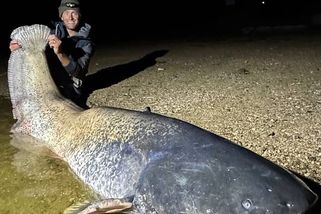 Další kapitální úlovek Jakuba Vágnera na Vranově. Sumec má přes dva a půl metru