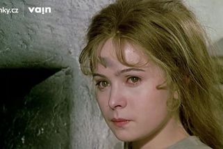 VTIP: Babiš řídí Popelku jako firmu. A není to hezký pohled