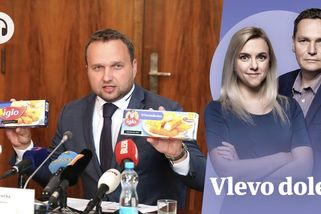 Vlevo dole: Zeman, očkování a důchody. Deziluze z vlády přišla dřív než vláda - Seznam Zprávy