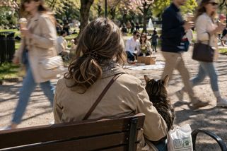 Další zdražování? Mám chuť to zabalit, už teď šetřím na lécích, jídle... a kočce