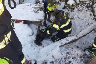 FOTO: V Dlouhoňovicích uvízla kočka v trubce od krbu. Trpěla v ní dva dny