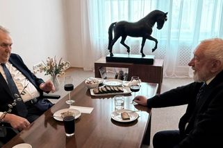 Miloš Zeman ostře odsoudil Sudetoněmecký sjezd v Brně. „Akce má oslabit českou národní integritu“ - Echo24.cz