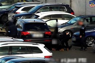 Pes vyčmuchal v autě přes 200 gramů pervitinu. Zásah proti dealerovi z Varů zachytily kamery - Novinky