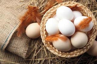 Jsou zdravější natvrdo, nebo naměkko? Pravdy a mýty o vejcích - Novinky